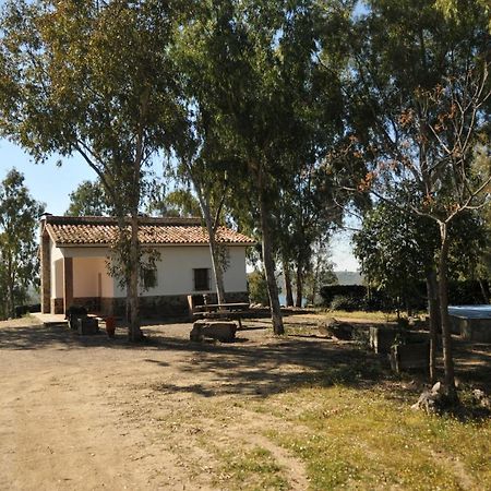 Casa Rural Casa De Las Aves オレジャナ・ラ・ビエハ エクステリア 写真