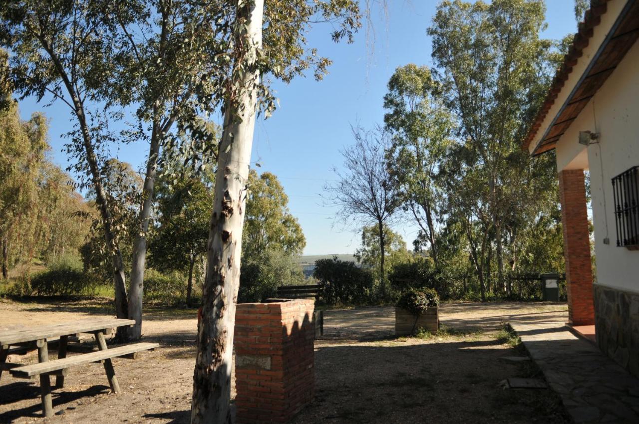 Casa Rural Casa De Las Aves オレジャナ・ラ・ビエハ エクステリア 写真